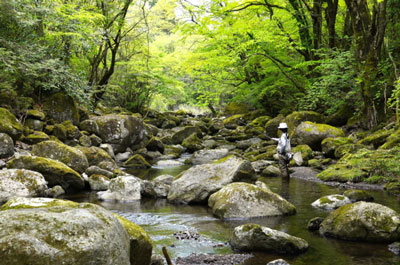 渓流釣り